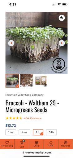 the brochure for brochures is shown with an image of plants growing out of