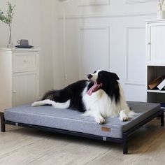 a black and white dog laying on top of a bed in a living room next to a book shelf