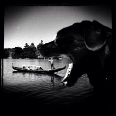 black and white photograph of man in boat with dog