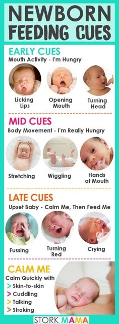 a baby's feeding guide for newborns