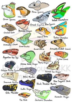 an image of different types of fish on a white background with the words, names and colors