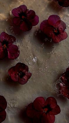 red flowers floating in water with bubbles on the bottom and top part of their petals