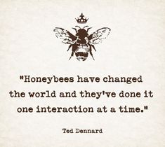 a quote on honeybees that says, honeybees have changed the world and they've done it one interaction at a time