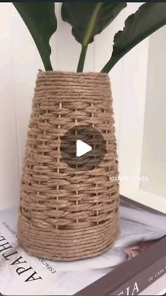 a plant in a woven vase sitting on top of a book