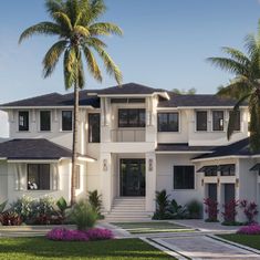 this is an artist's rendering of a house with palm trees in the front yard