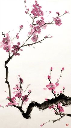 a painting of pink flowers on a white background with a branch in the foreground