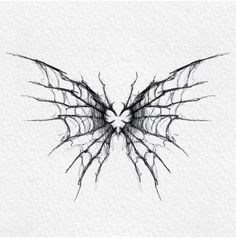 a black and white drawing of a butterfly with its wings spread out to the side