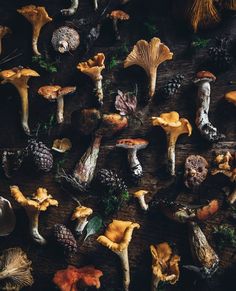 many different types of mushrooms on a table