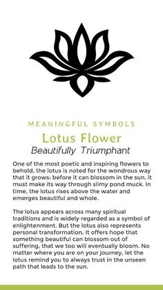 the benefits of lotus flower oil for hair and body care, with instructions on how to use