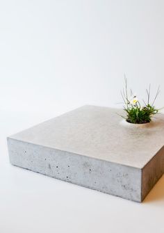 a concrete box with a small plant in it