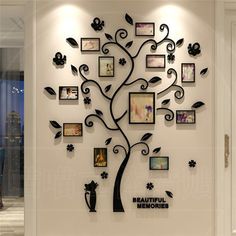 a family tree with pictures on the wall