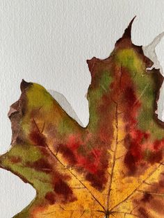 a watercolor painting of a leaf with red and yellow leaves on the top, against a white background