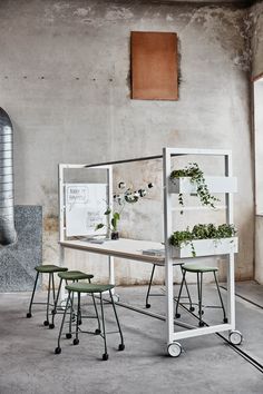 three chairs and a table with plants in them