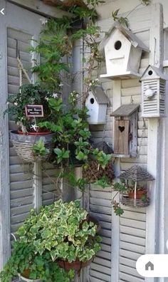 several birdhouses are hanging on the side of a building with plants growing out of them