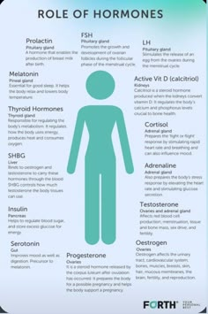 دورة شهرية, Female Health, Healthy Hormones, Menstrual Health, Medical School Essentials, Feminine Health, Endocrine System, Hormone Health, Medical Knowledge