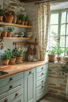 a kitchen filled with lots of potted plants on top of wooden shelves next to a window