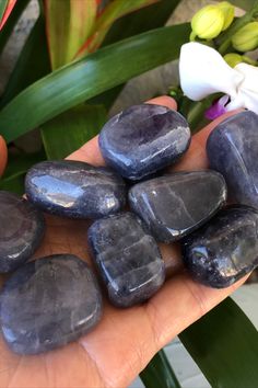 Iolite Tumbled Stone (~0.7"-1.2") Beautiful Crystals, Pretty Stuff, Gems And Minerals