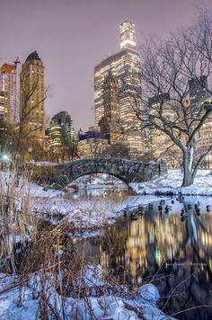 the city skyline is lit up at night with snow on the ground and trees in the foreground