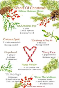 Candle Recipes, Christmas Diffuser Blends, Essential Oil Combinations, House Organization, Essential Oil Diffuser Blends Recipes, Young Living Essential Oils Recipes, Essential Oil Diffuser Recipes, Yl Essential Oils, Oil Diffuser Recipes