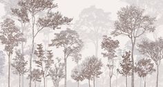 an image of a forest scene with trees in the foreground and fog in the background