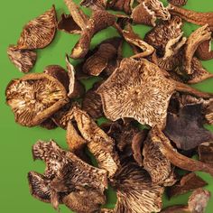 dried mushrooms on a green background