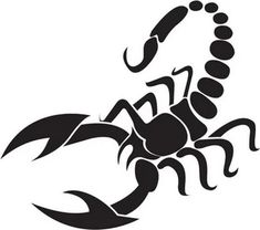 a black scorpion tattoo design on a white background