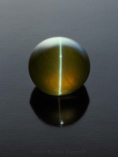 CHATOYANCY: The gemological effect known as cat's-eye, describes a gemstone polished into a cabochon that displays a narrow band of concentrated light going across the width of the stone. This effect, is caused by inclusions of fine, slender parallel mineral fibers in the gemstone that reflect light in a single band.(photo:Tino Hammid) Cats Eye Gem, Pretty Rocks, Cat S, Beautiful Rocks, Cats Eye, Mineral Stone, Minerals And Gemstones, Rocks And Gems, Energy Crystals