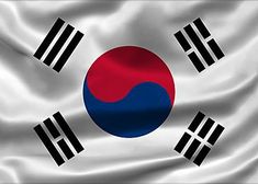 the flag of south korea with three black stripes on it's chest and two red, white, and blue colors