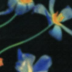 blurry image of blue and yellow flowers on a black background with green stems in the foreground