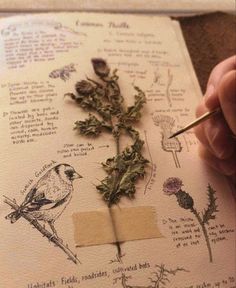 a person holding a pen and writing on top of a book with plants in it