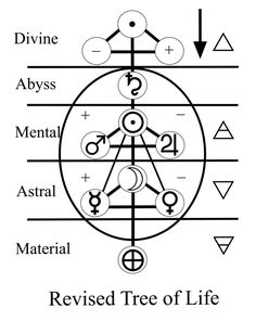 the tree of life is shown in black and white, with arrows pointing to each other