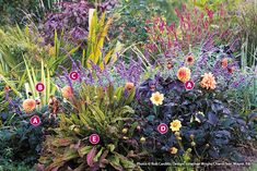 an assortment of flowers and plants in a garden with numbers on the planter's side