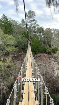 a long wooden bridge with the word florida on it's side and trees in the background