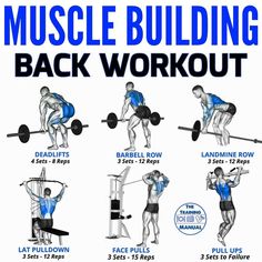 a poster with instructions on how to do the back workout for muscle building and strength training