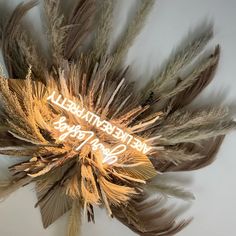 an arrangement of feathers with the words we are beautiful written on them