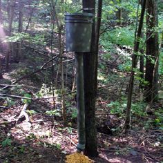 there is a trash can in the woods next to a pole with a bucket on it