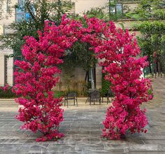 two pink flowers are in the middle of a courtyard