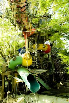 there is a playground in the woods with lots of toys on it and trees growing all around