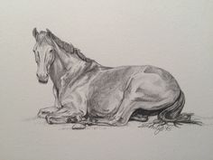 a drawing of a horse laying down on the ground