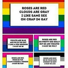 the rules for gays to be gay in different colors and sizes, with text on them