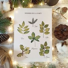 a sheet of paper with leaves and pine cones on it next to christmas decorations, candles and other items