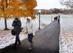 two people walking down a path in the snow with orange trees and buildings in the background