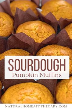 there are muffins in the tray with text overlay that says sourdough pumpkin muffins