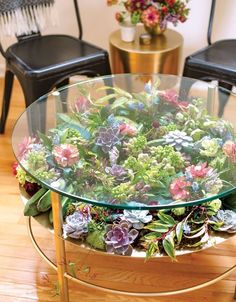 a glass table topped with lots of plants on top of a hard wood floor next to two chairs