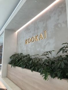 the kodaki sign is lit up on the wall above some green plants in front of it