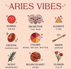 the aris vibes chart with different zodiac symbols and their corresponding names on it