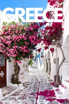 a narrow street with pink flowers growing on it and the words greece overlayed