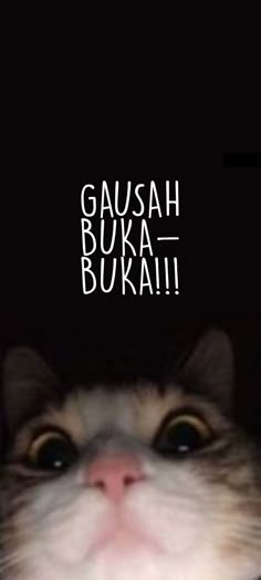 a close up of a cat with the caption gausah buka buka