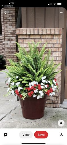 a potted plant with red, white and blue flowers in front of a brick building