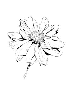 a black and white drawing of a flower